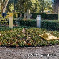 Breite, barrierefreie Wege und eine großflächige Begrünung in einer Friedhofsanlage.